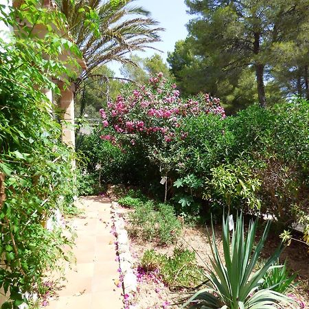 Villa Herdain Cielo de Bonaire Kültér fotó
